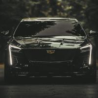 凯迪拉克张大帅头像