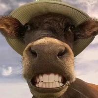 爱吃菠萝和香蕉头像