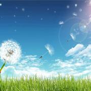 北风446的个人资料头像