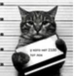 爱看电影和打网球的程序员的个人资料头像