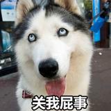 这昵称很霸气435头像