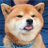 绝版虾饺头像