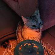 Yu107的个人资料头像