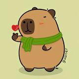 卡皮巴拉分巴头像