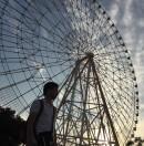 摩迦迪沙的个人资料头像