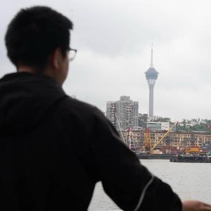 一片树叶的旅程