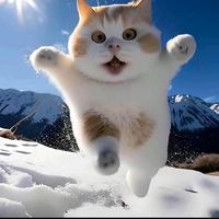 用户1112171023062头像