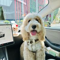 Mocha的臻选小店头像