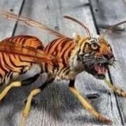 755的个人资料头像