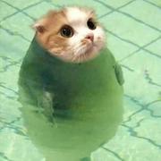 yhao2508的个人资料头像