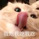Sssjji头像