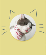 欢喜团子的个人资料头像