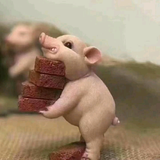啊祥Yu头像