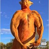 发财七台河8o9头像