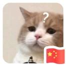 尽的个人资料头像