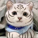 不渝JNo6头像