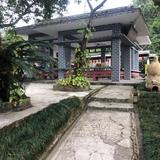 小东头像