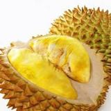 鲜果园小员工头像