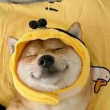 曹孟de头像