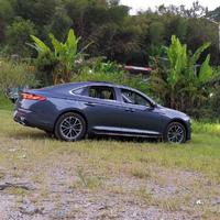 用户7868164456916头像