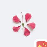 W哦买噶头像
