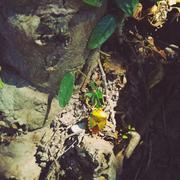 Mr406的个人资料头像