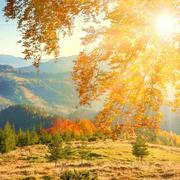 时光同志38095的个人资料头像