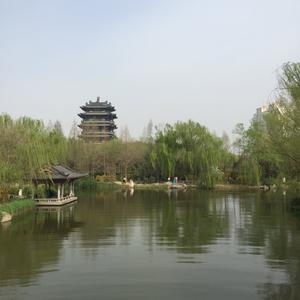 大李的日常头像