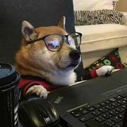 TcTcMe_Plz的个人资料头像