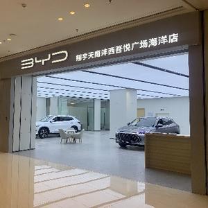 比亚迪海洋网枭驰智途头像