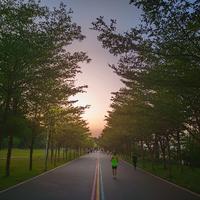 真没啥坏心思头像