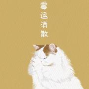 荒原猪的个人资料头像