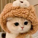 木子聊汽车头像