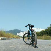 TechLover的个人资料头像