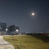 zhouxiaotin头像