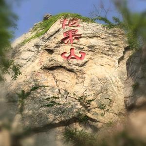 花果山下的蛋头像