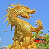阳光乌哥头像