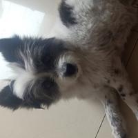 用户8274403204560头像