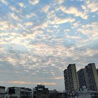 林西大瓜可头像