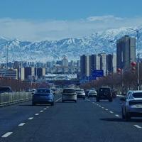 无言独上西楼月如钩今晚不加钟吧头像