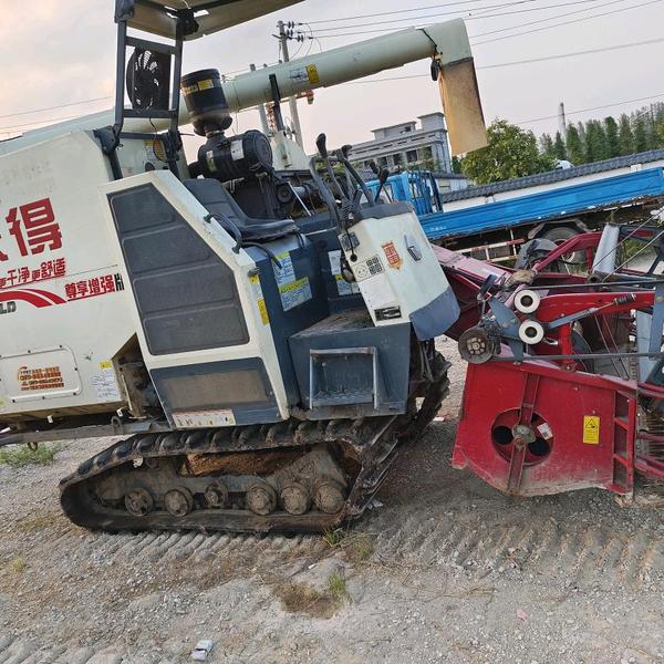 无双葡萄CE2头像