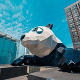 奇妙香瓜Zo7头像