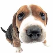 rockwong_cn的个人资料头像