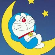 一只小爪子35的个人资料头像