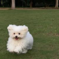 开个车车11头像