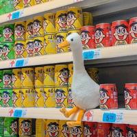 夏天大白熊头像