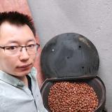 芜湖炒板栗的阿飞头像