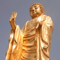 jiaxiaoming头像