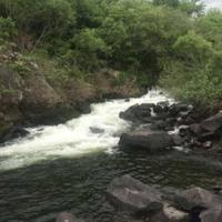 安逸河流Wzw头像