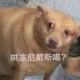 你想要上钩拳 · 凯美瑞车主·车龄3年头像